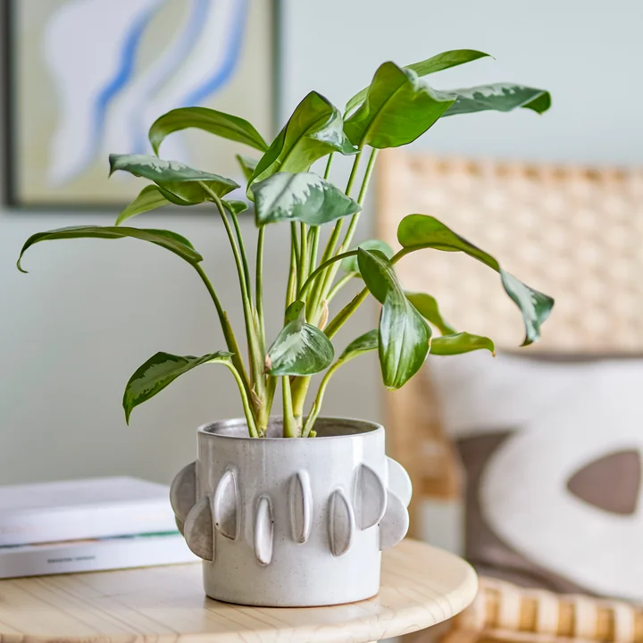 Bloomingville - Roza Bloempot