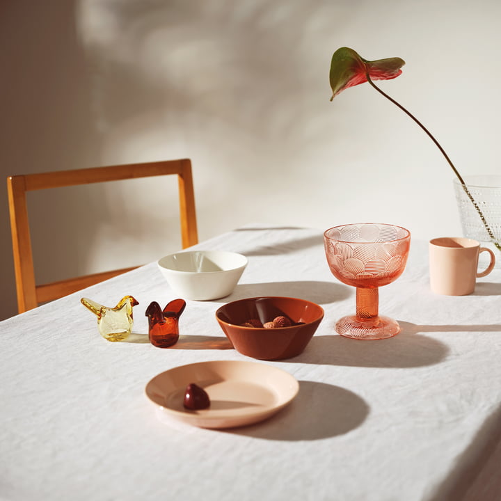 De Teema serie van Iittala