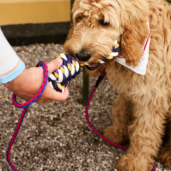 Dogs Touwspeelgoed, blauw / paars / oker van Hay