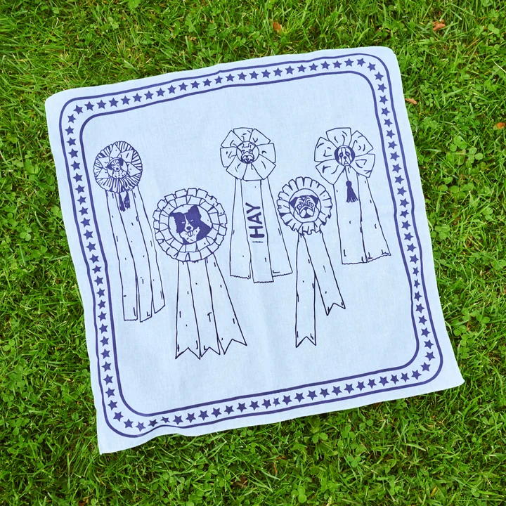 Dogs Hondenhanddoek 55 x 55 cm, lichtblauw van HAY