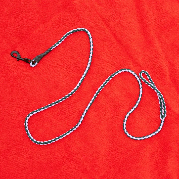 HAY - Dogs Hondenriem, gevlochten, lavendel/groen