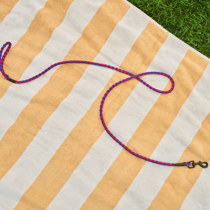 HAY - Dogs Hondenriem, gevlochten, rood / blauw