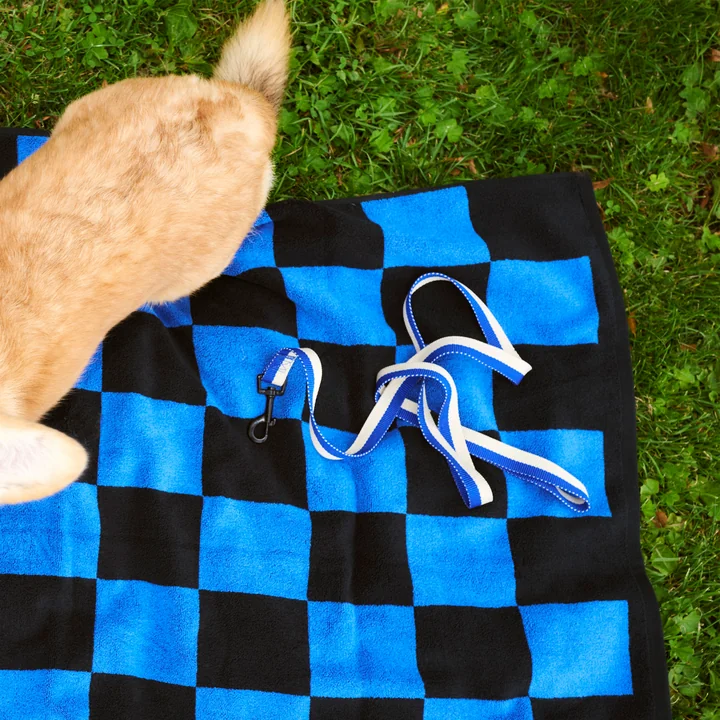 HAY - Dogs Hondenriem, M/L blauw / gebroken wit