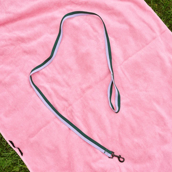 HAY - Dogs Hondenriem, M/L lavendel/groen