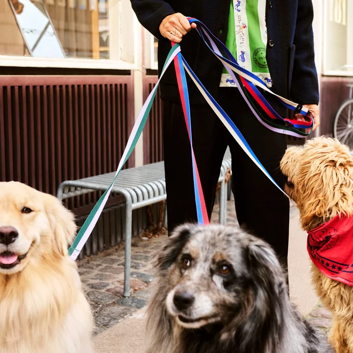 HAY - Dogs Hondenriemen