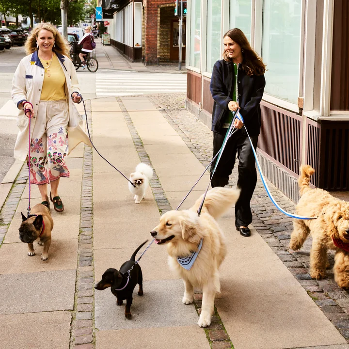 HAY - Dogs Hondenriemen