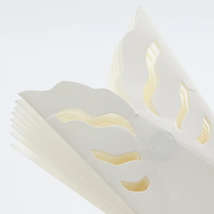 Sneeuwvlok van House Doctor