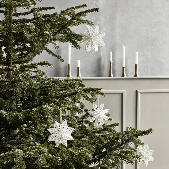 Sneeuwvlok van House Doctor