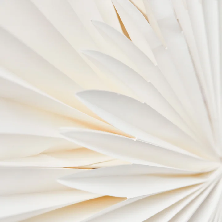 Laag kerstster van House Doctor