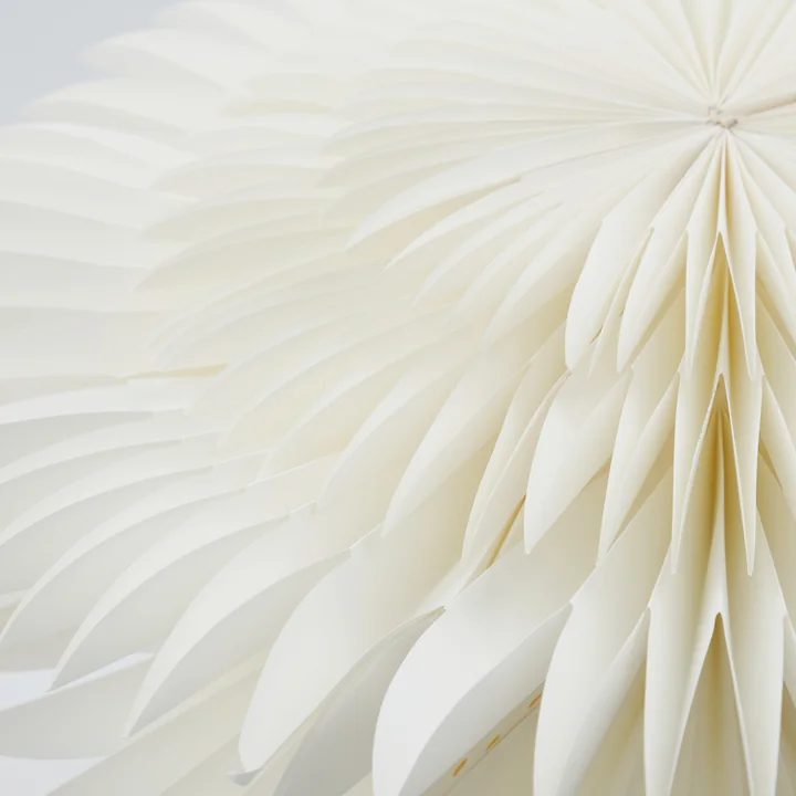 Laag kerstster van House Doctor