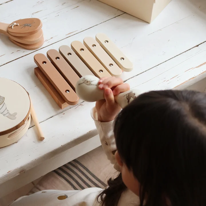 Spelset van Konges Sløjd