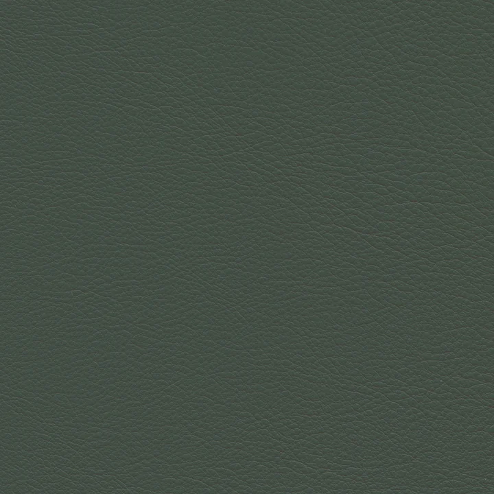 jade (leder Premium F 59) van Vitra