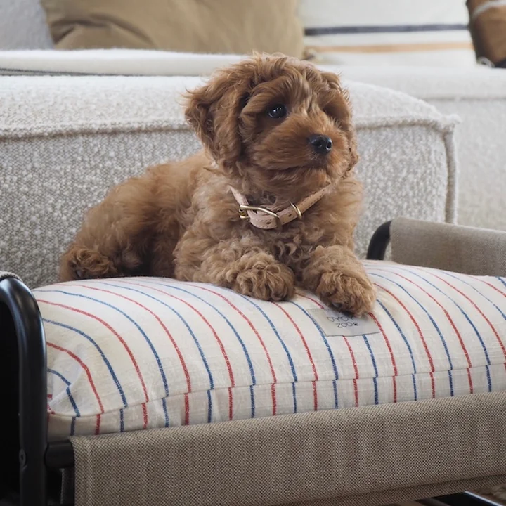 OYOY Milo ZOO - Hondenbed