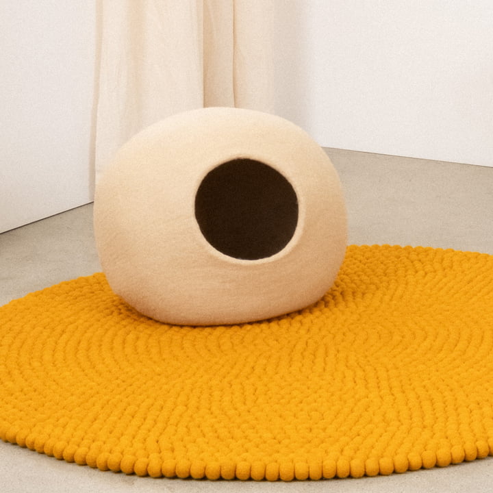 evi kattengrot, beige van myfelt