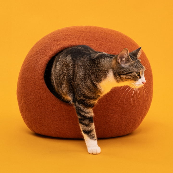 Lora kattengrot, roestrood van myfelt