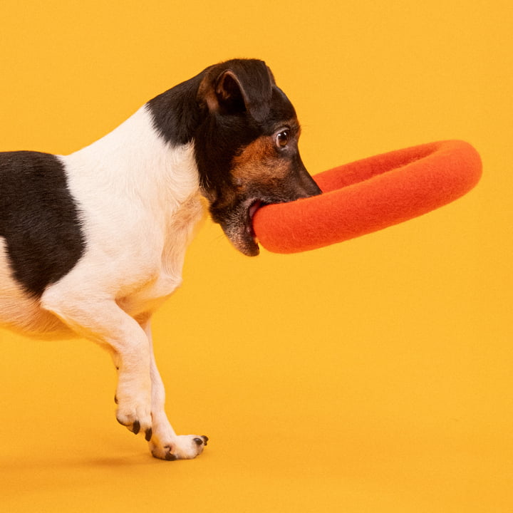 Mats Hondenspeeltje, ring, rood-oranje van myfelt