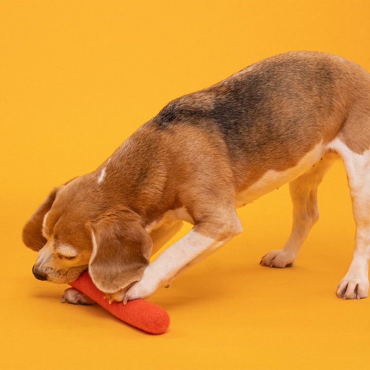 Mats Hondenspeeltje, stok, rood-oranje van myfelt