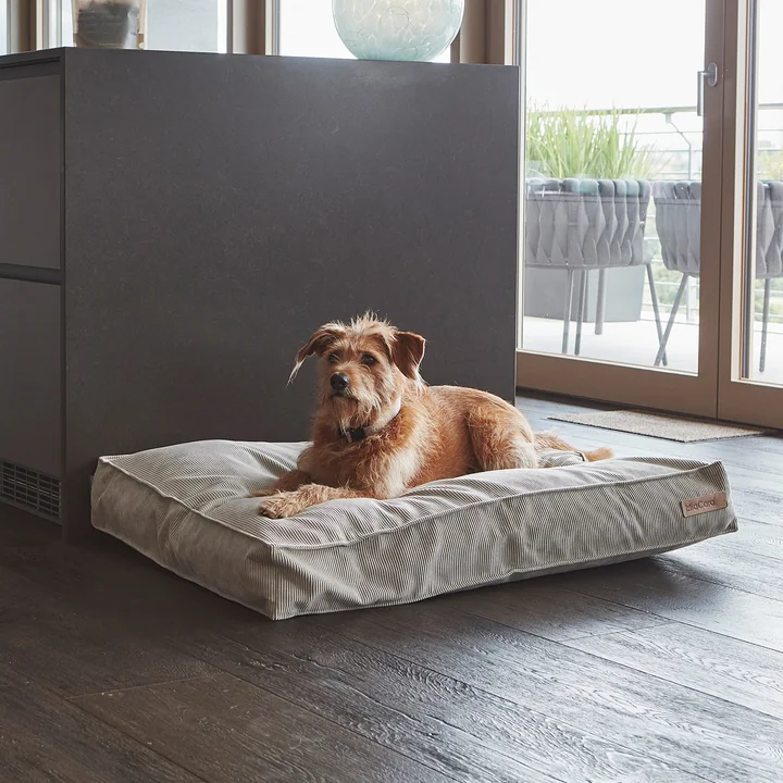 Cordo Hondenkussen van MiaCara