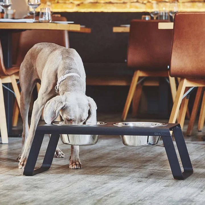 Desco Hondenbakstandaard met roestvrijstalen bakjes van MiaCara