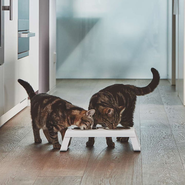 Desco Kattenbakstandaard met roestvrijstalen kommen van MiaCara