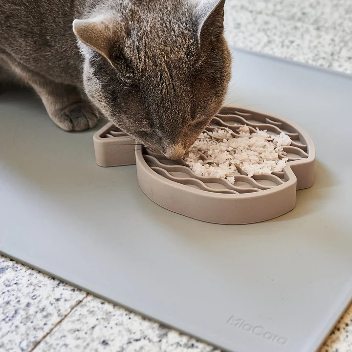 Pesce Activiteitenspeelgoed van MiaCara