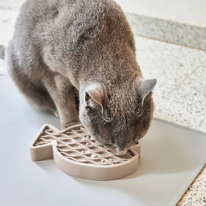 Pesce Activiteitenspeelgoed van MiaCara