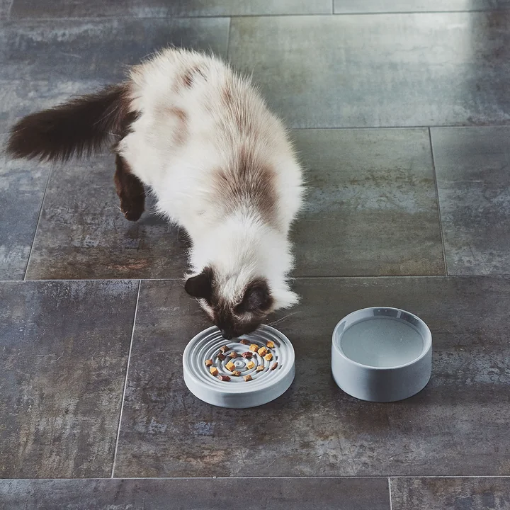 Fresco Piatto en kattenkom S van MiaCara