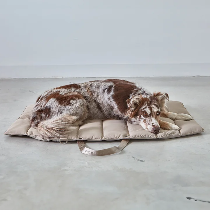 Strada TravelBed Hondenreisbed van MiaCara