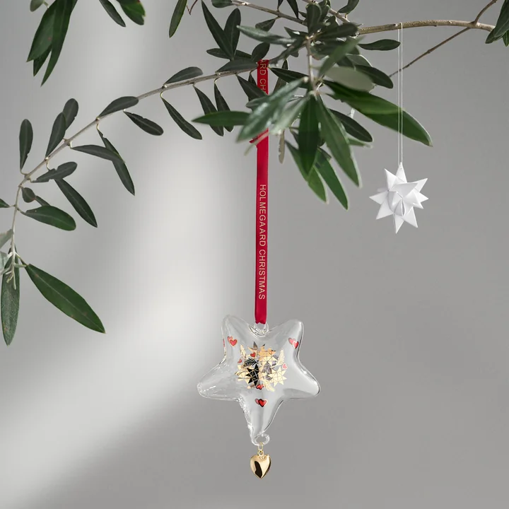 Kerstster, 2024 Ann-Sofie Romme van Holmegaard