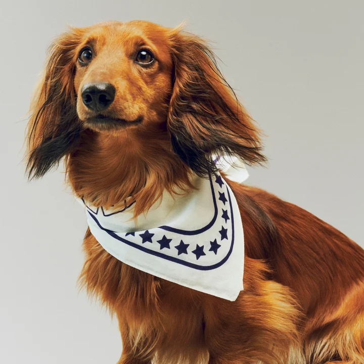 HAY - Dogs Hondenhanddoek, gerecycled, 55 x 55 cm, gebroken wit/blauw