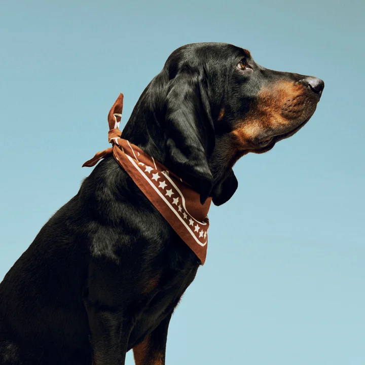 HAY - Dogs Hondenhanddoek, gerecycled, 55 x 55 cm, bruin