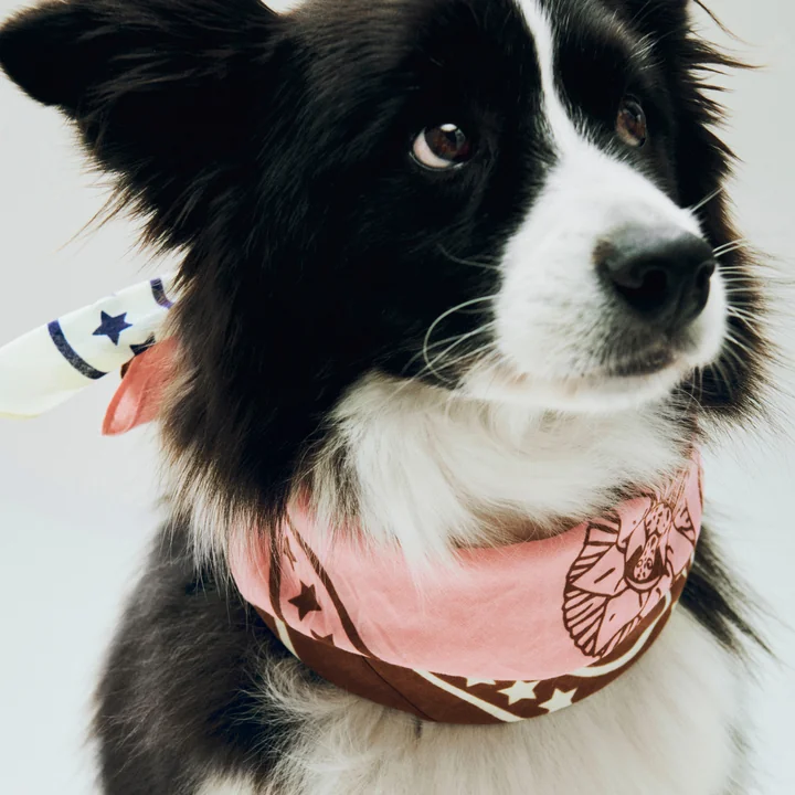 HAY - Dogs Hondenhanddoek, gerecycled, 55 x 55 cm, roze