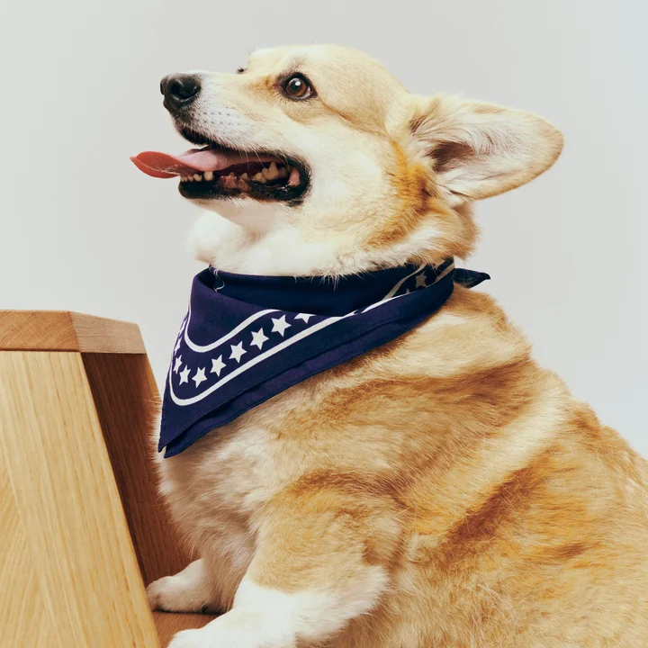 HAY - Dogs Hondenhanddoek, gerecycled, 55 x 55 cm, donkerblauw