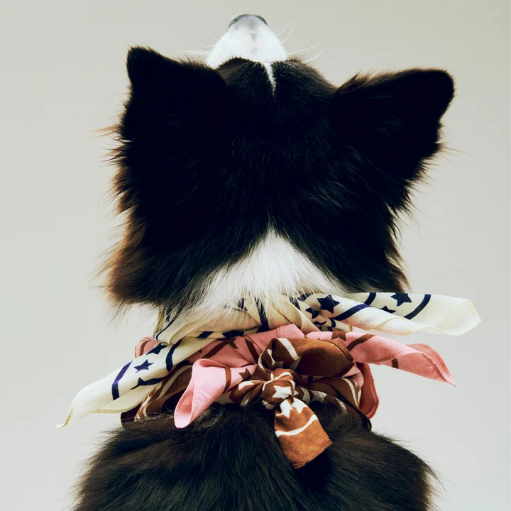 HAY - Dogs Hondenhanddoek, gerecycled, 55 x 55 cm