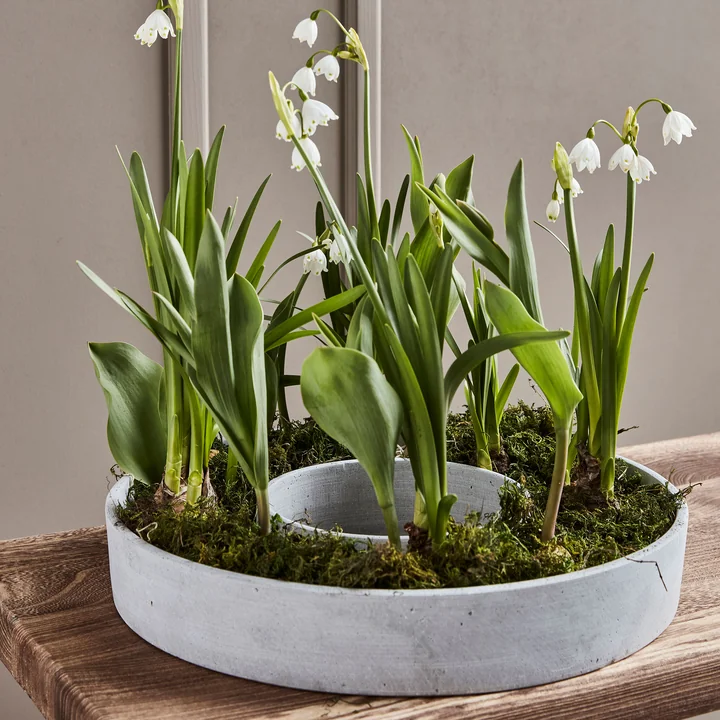 The Ring Kandelaar van House Doctor in de kleur grijs