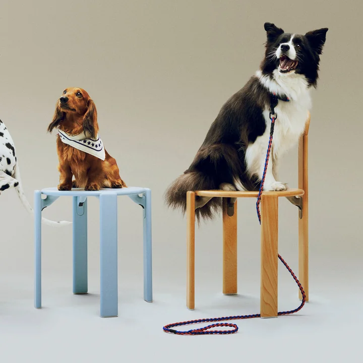 HAY - Dogs Hondenriem, gevlochten, verstelbaar, blauw/rood