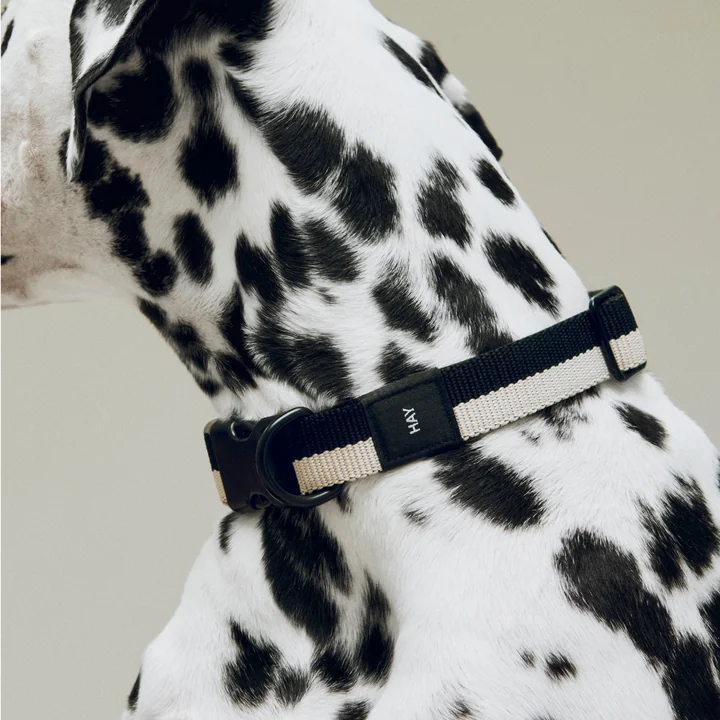 HAY - Dogs Halsband voor honden, M/L, zwart/wit