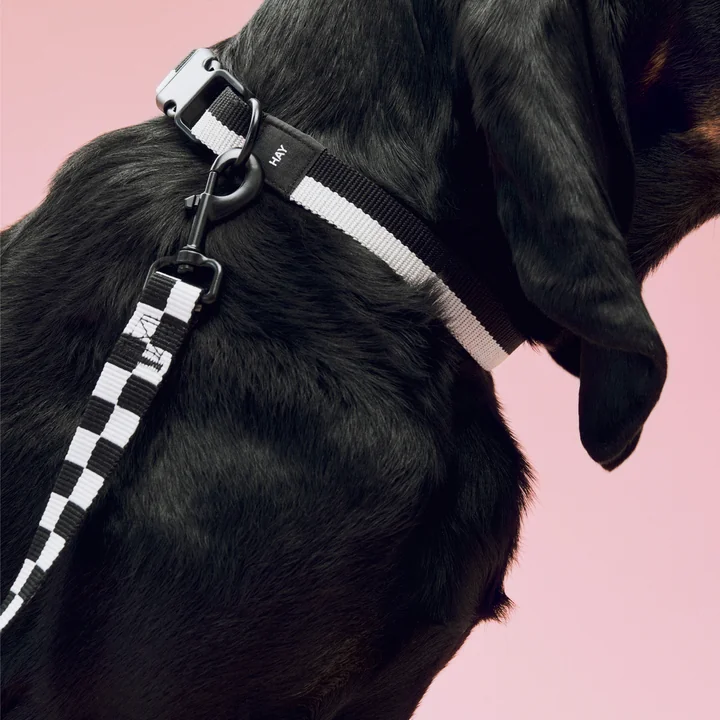 HAY - Dogs Halsband, M/L, hondenriem M /L Ruit, zwart/wit