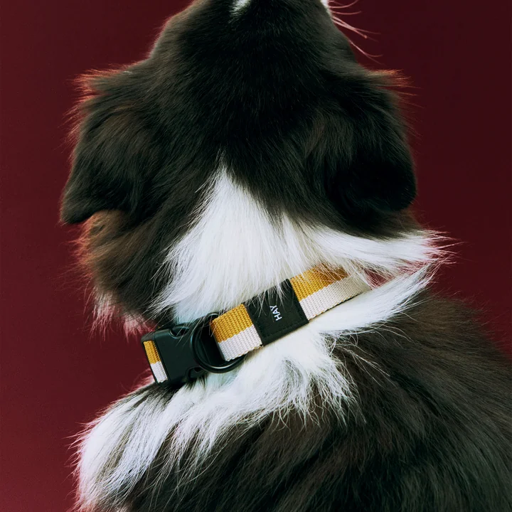 HAY - Dogs Halsband voor honden, S/M, gebroken wit/oker