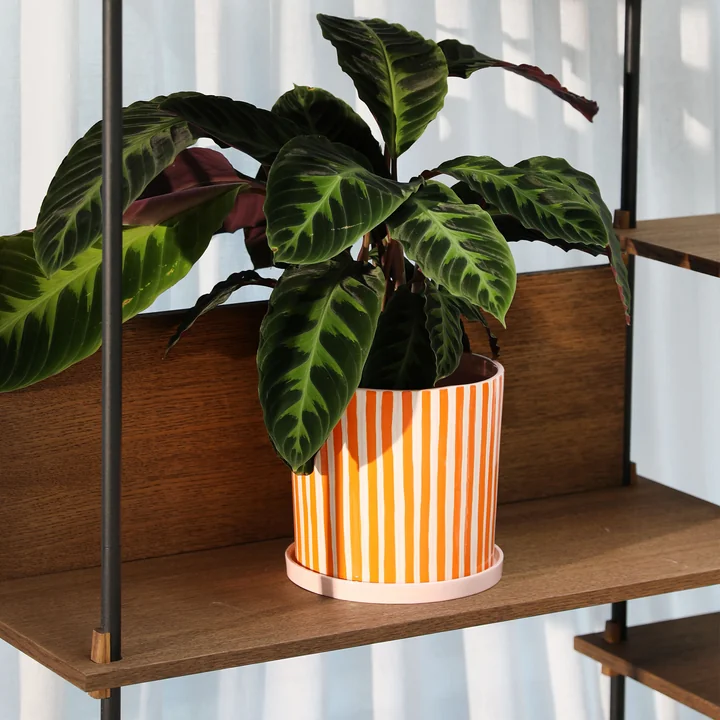 & klevering Ray - Bloempot met schotel, Ø 21,5 x 21 cm, oranje / roze / wit