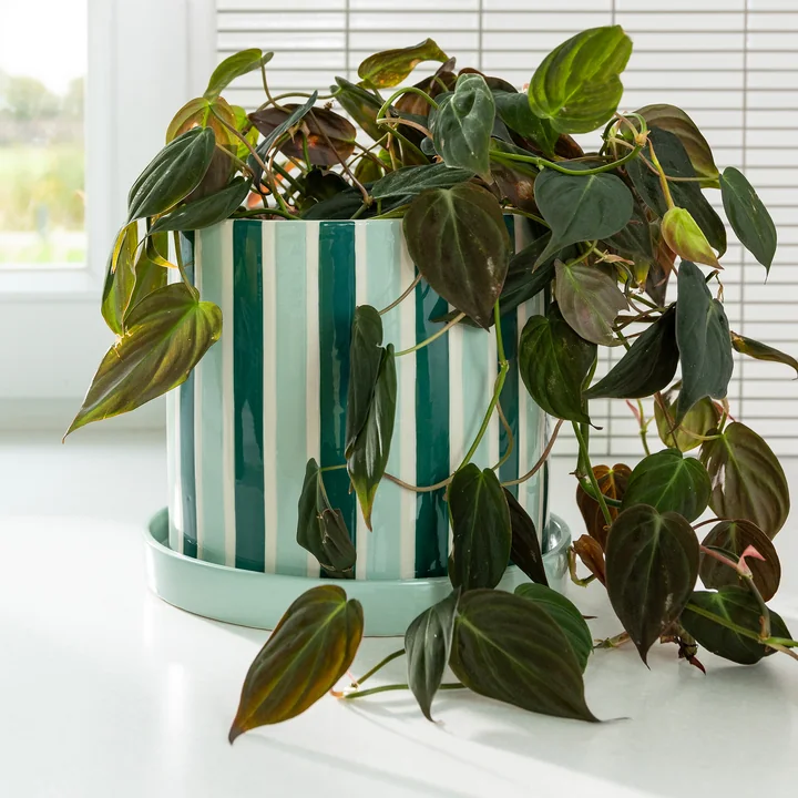 & klevering - Clash bloempot met schotel, streep, Ø 23,5 x 21 cm, groen / wit