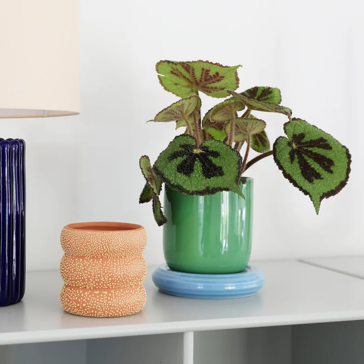 & klevering Churros - Bloempot, Ø 14,5 x 15 cm, groen / blauw