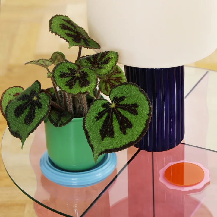 & klevering Churros - Bloempot, Ø 14,5 x 15 cm, groen / blauw