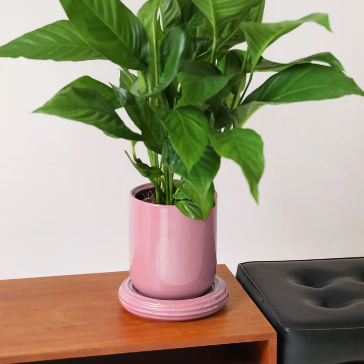 & klevering Churros - Bloempot, Ø 19,5 x 21 cm, blush