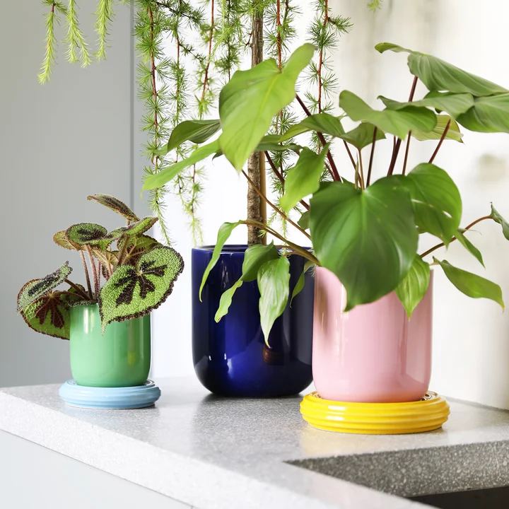 & klevering Churros - Bloempotten