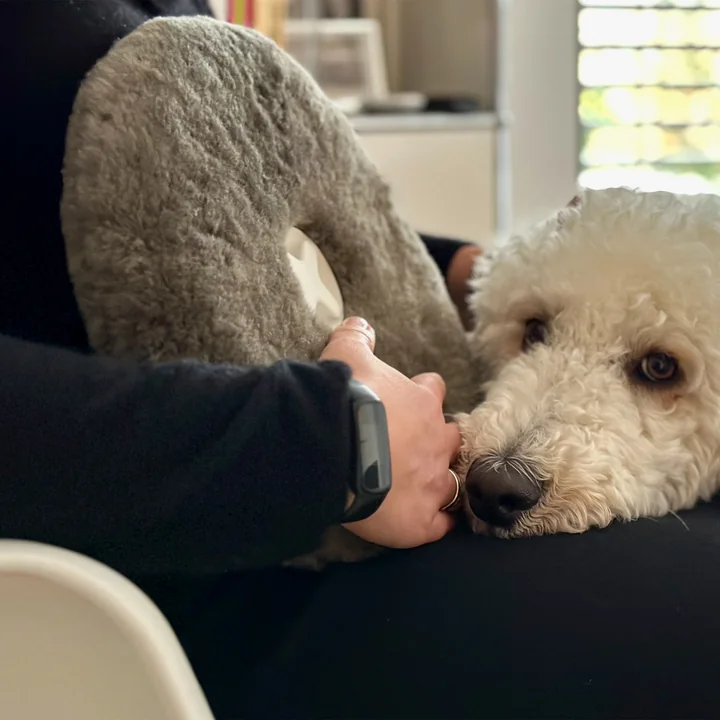 Authentics - Pill kruik, schapenvacht, antraciet