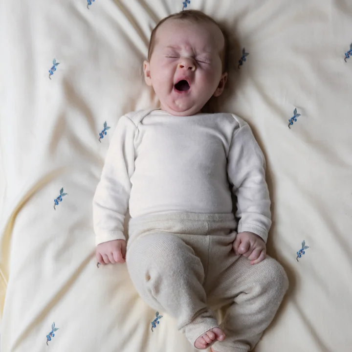 Cam Cam Copenhagen - Geborduurd baby beddengoed, 70 x 100 cm, blueberries