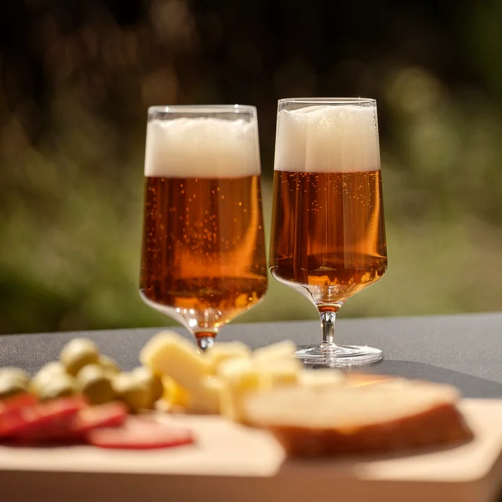 Zone Denmark - Rocks Bierglas, 30 cl (set van 2)