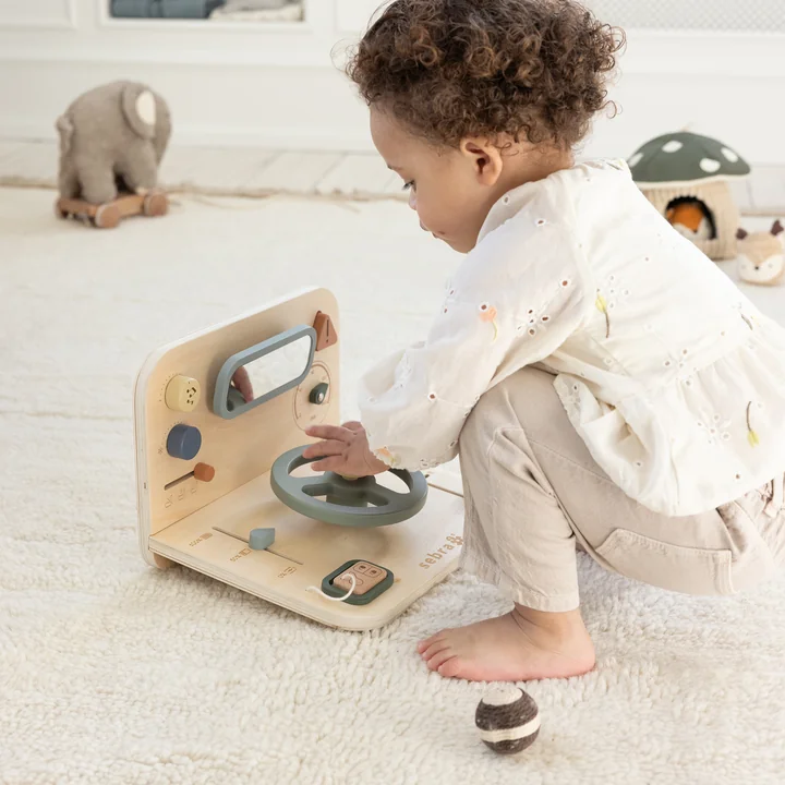 Sebra - Activiteitenbord auto, veelkleurig