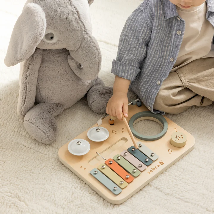 Sebra - Muziek activiteitenbord, veelkleurig